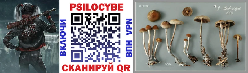 наркотики  Ливны  Галлюциногенные грибы GOLDEN TEACHER 
